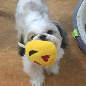 Meet your Posher, Mark